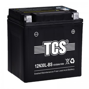 TCS摩托车密封式免维护电池12N30L-BS