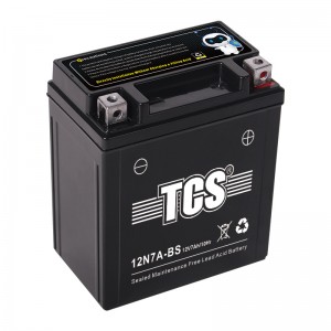 TCS摩托车密封式免维护电池12N7A-BS