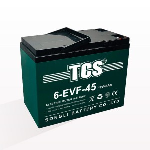TCS电动车电池6-EVF-45