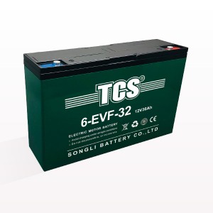 TCS电动车电池6-EVF-32