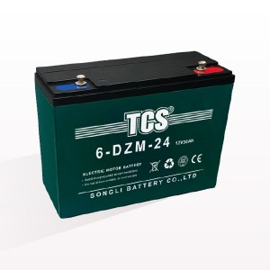 TCS电动车电池 6-DZM-24