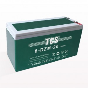 TCS电动车电池8-DZM-20