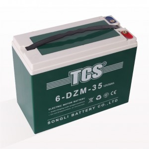 TCS电动车电池6-DZM-35