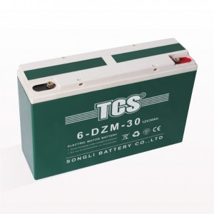 TCS电动车电池6-DZM-30