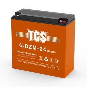 TCS电动车电池6-DZM-24