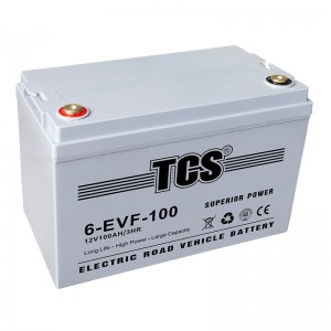 TCS电动道路车电池6-EVF-100