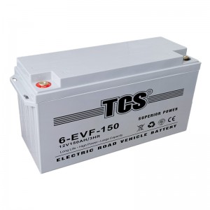 TCS电动道路车电池6-EVF-150