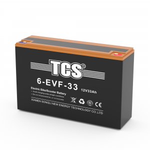 TCS电动车电池6-EVF-33