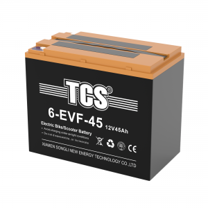TCS电动车电池6-EVF-45