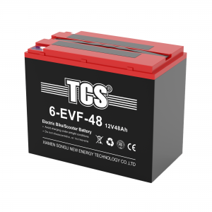 TCS电动车电池6-DZM-48