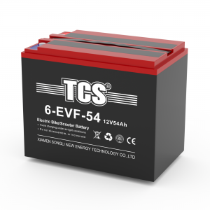 TCS电动车电池6-EVF-38