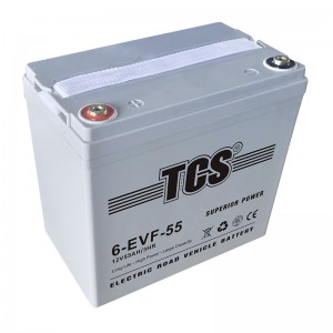 TCS电动道路车电池6-EVF-55