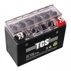 TCS摩托车密封式胶体电池12N6.5-BS