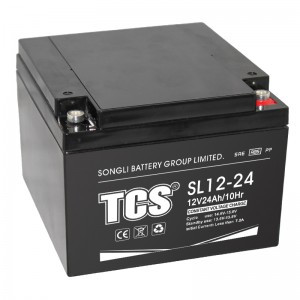 TCS储能电池小密系列SL12-24