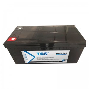 TCS储能型锂电池 TLB24-200