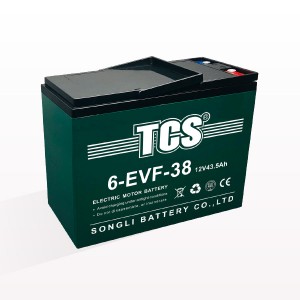 TCS电动车电池6-EVF-38