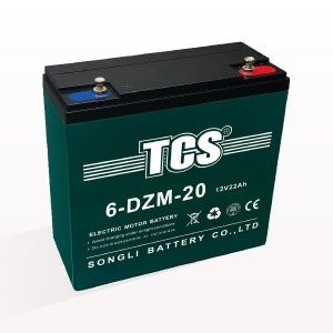 TCS电动车电池 6-DZM-20