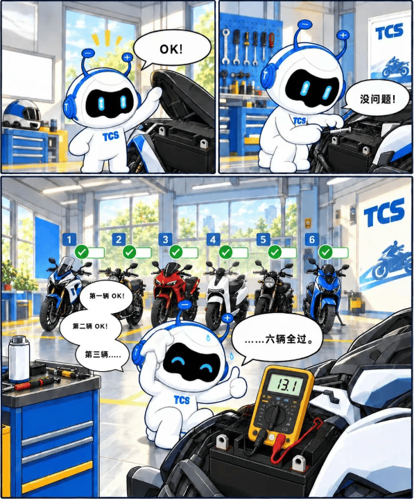 tcs-3