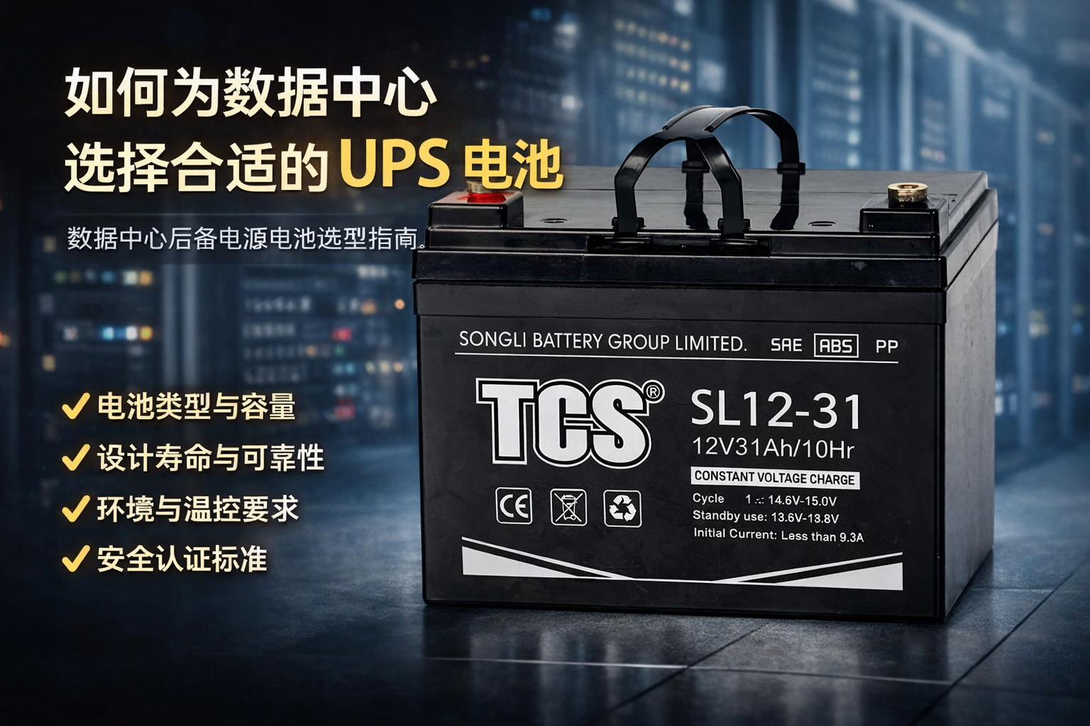 如何为数据中心选择合适的 UPS 电池